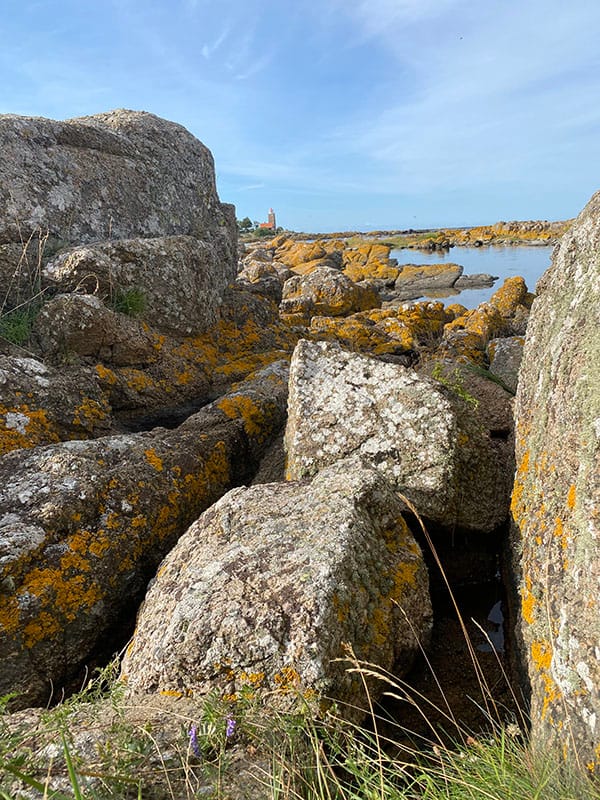 Psykolog - Klippe - Bornholm